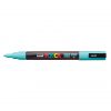PC-3M_Aqua_Green